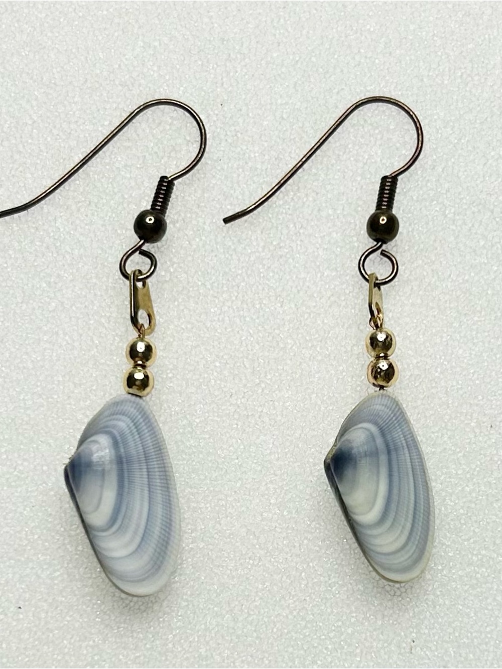 Coquina Clam Shell Drop Earrings
